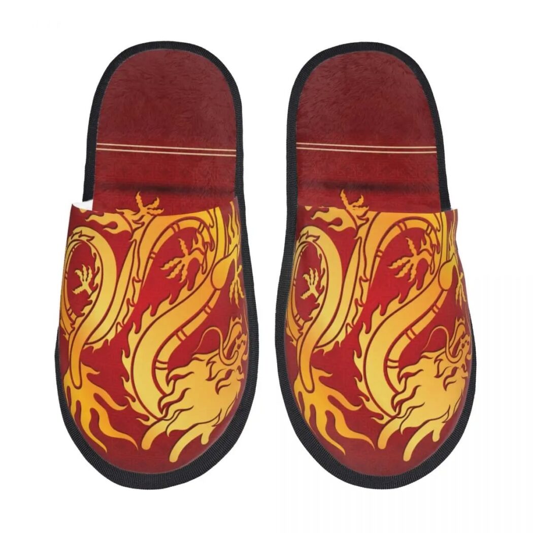 Chausson Chinois d'Intérieur Dragon Traditionnel Chinois sur fond blanc